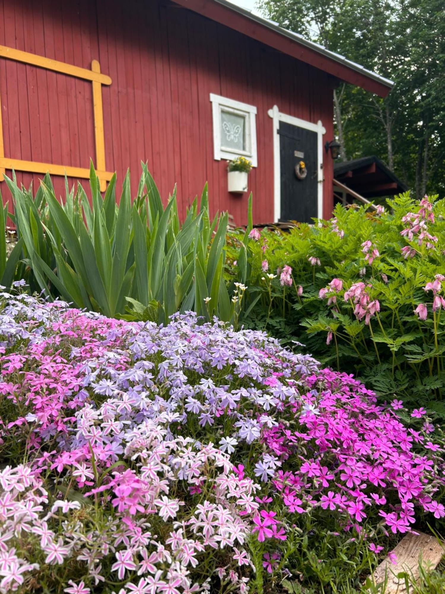 Savikulma B&B Mynamaki Eksteriør billede